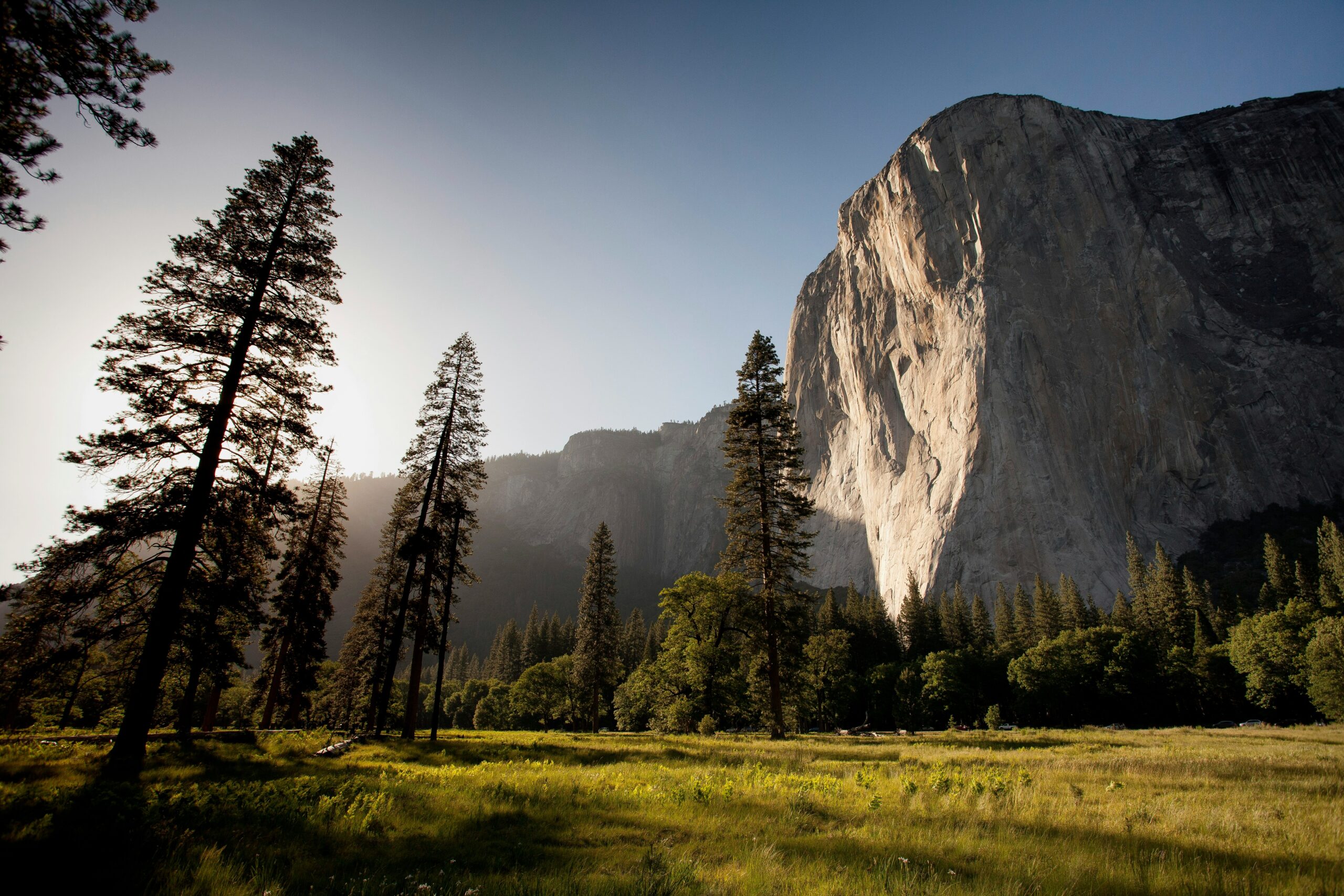 Hello World Featured Image